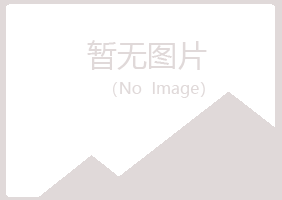 宁夏代梅能源有限公司